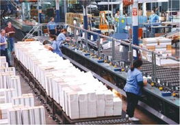 印刷工業自動化方案 國際視野下的技術革新與咨詢服務